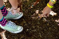 Nature Walk (1)