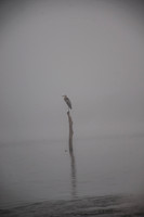 ___-12