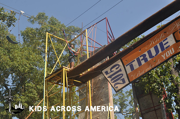 Treetops (13)