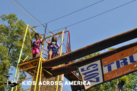 Tree tops (10)