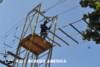 Tree tops (12)