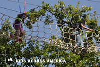 Tree tops (2)