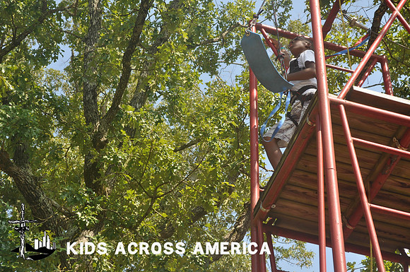 Treetops (12)