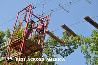 Tree tops (13)