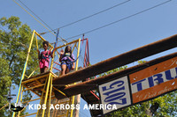 Tree tops (11)