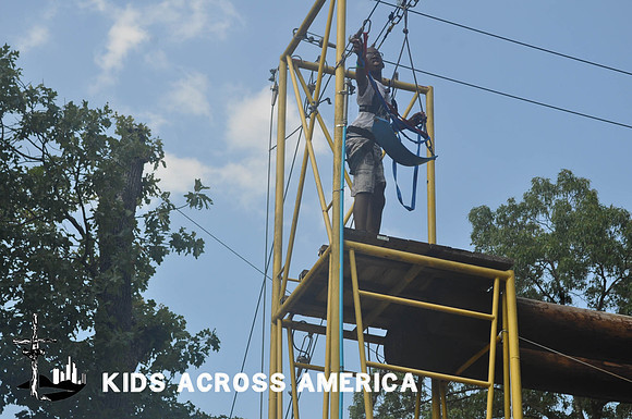 Treetops (17)