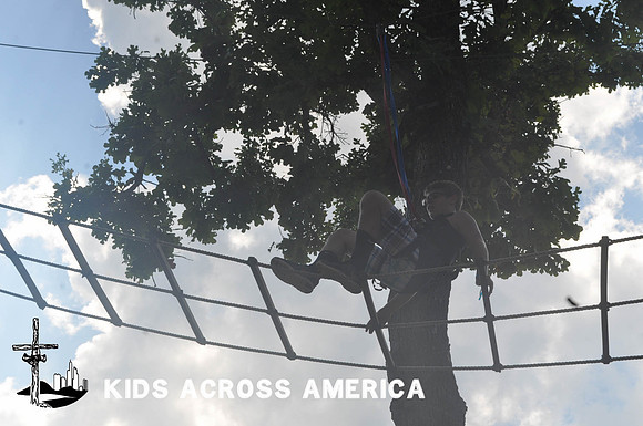 Treetops (5)