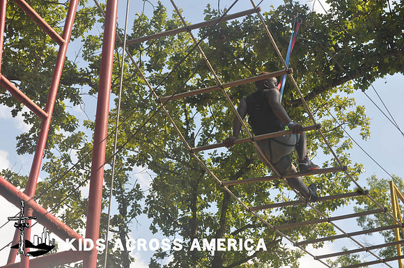 Treetops (11)