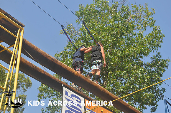 Treetops (1)