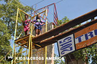 Tree tops (9)