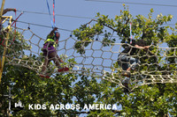 Tree tops (1)