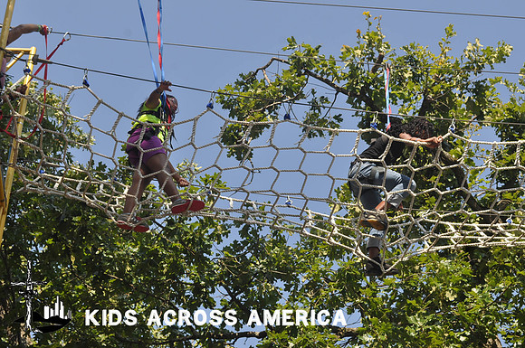 Tree tops (1)