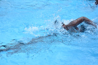 Swim (11)
