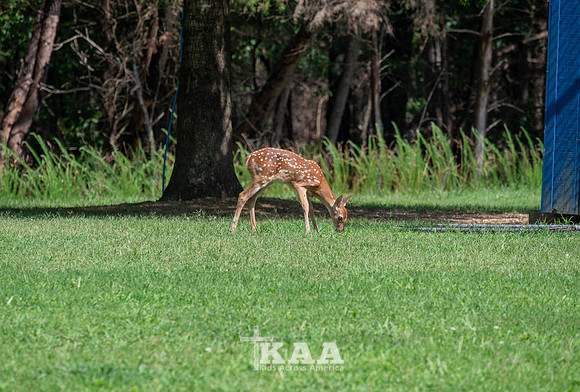 K1_S5_DAY 1_-96