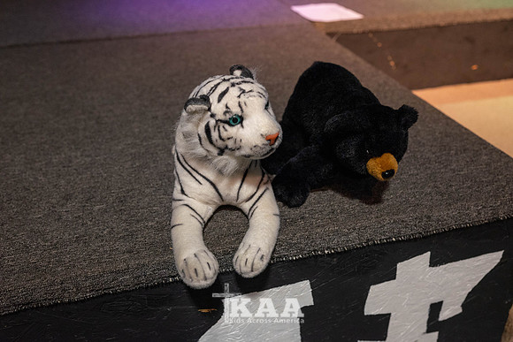K1_S6_Day1_-172