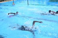 Swim (9)