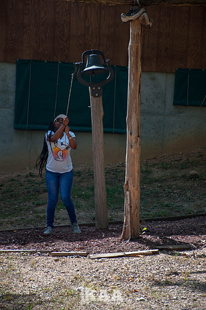 DSC_0356 (2)