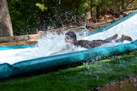KAA2 Session 6  (1011)